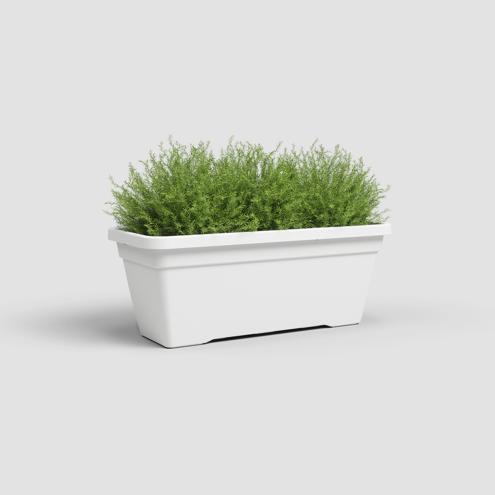 Venezia L Plant Box