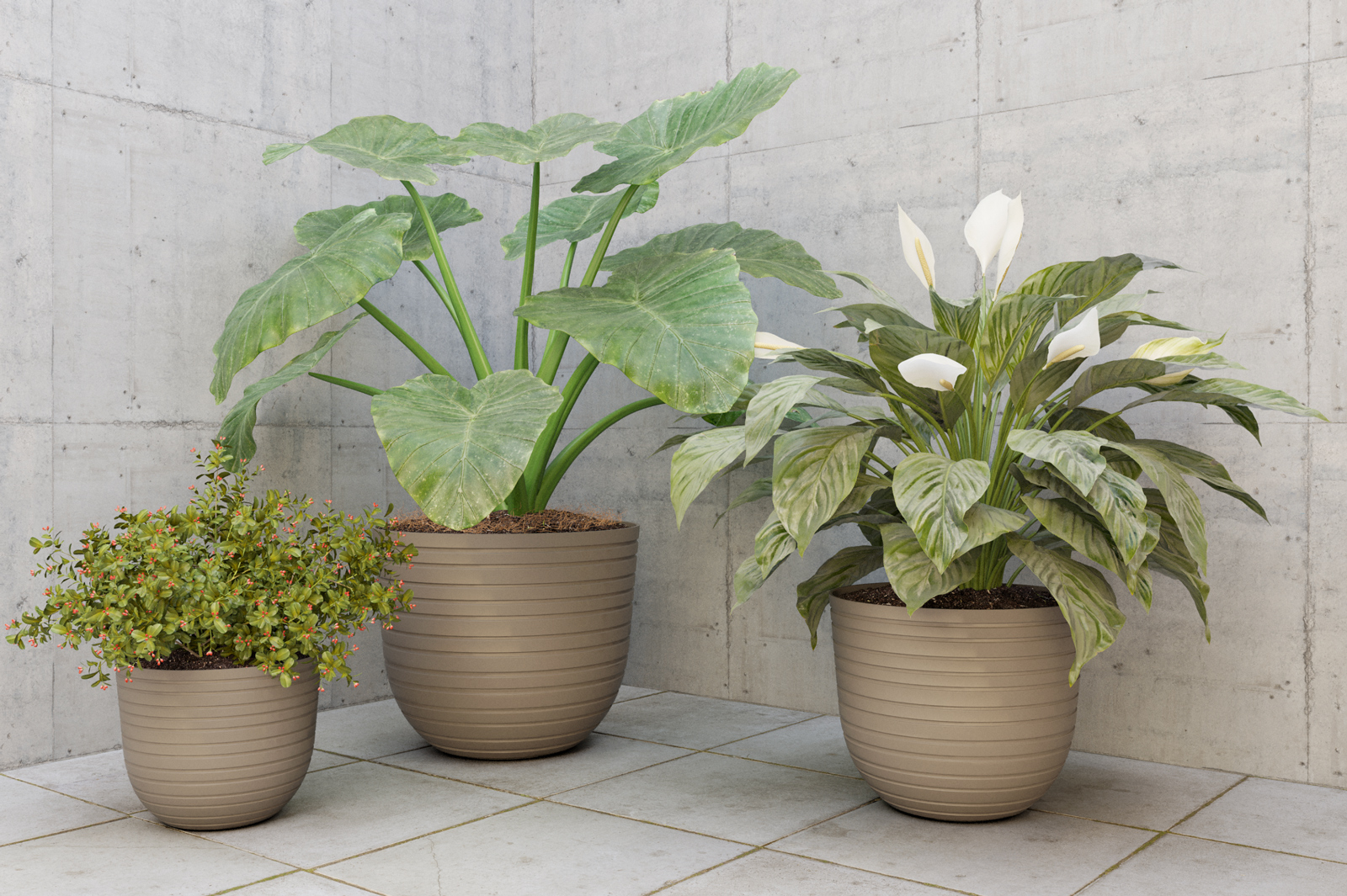 Havana Horizon Pot