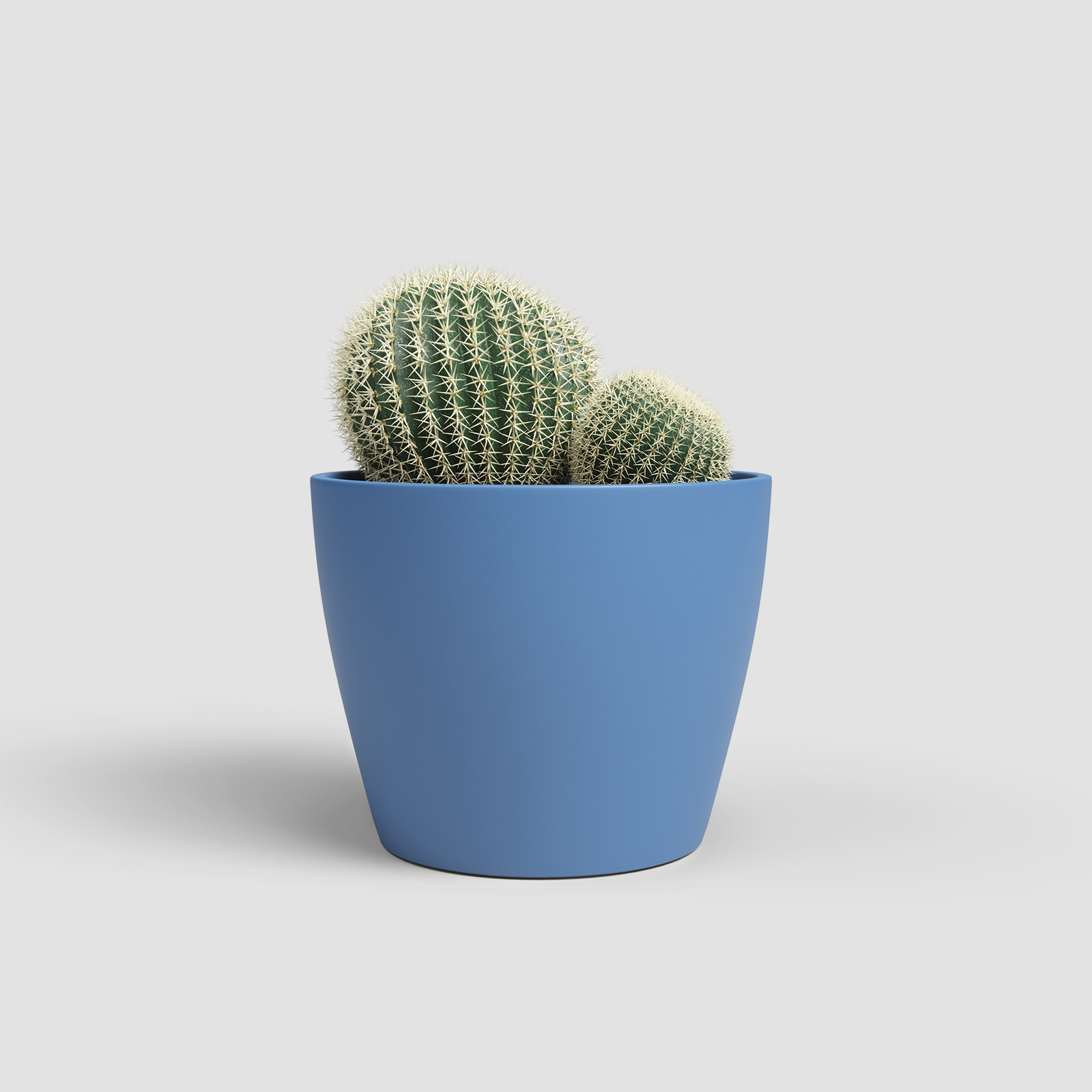 Nubia Cactus Pot