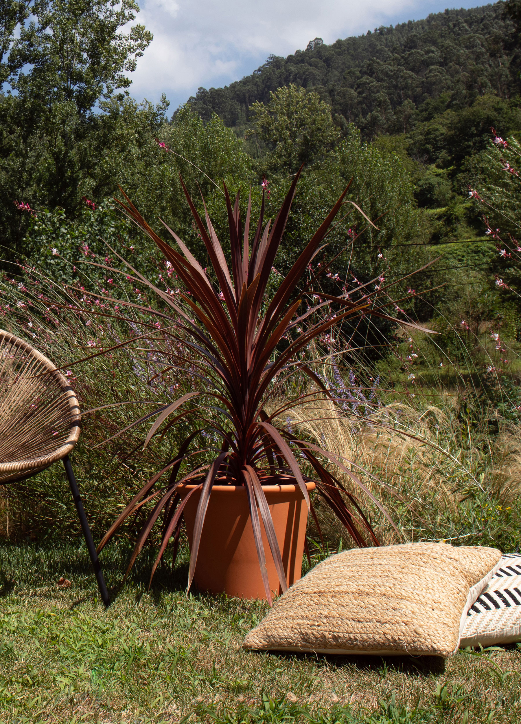 Saramago Pot