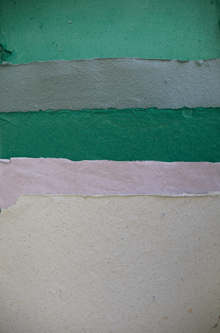 Papel que floresce: uma parceria com Oupas! Design