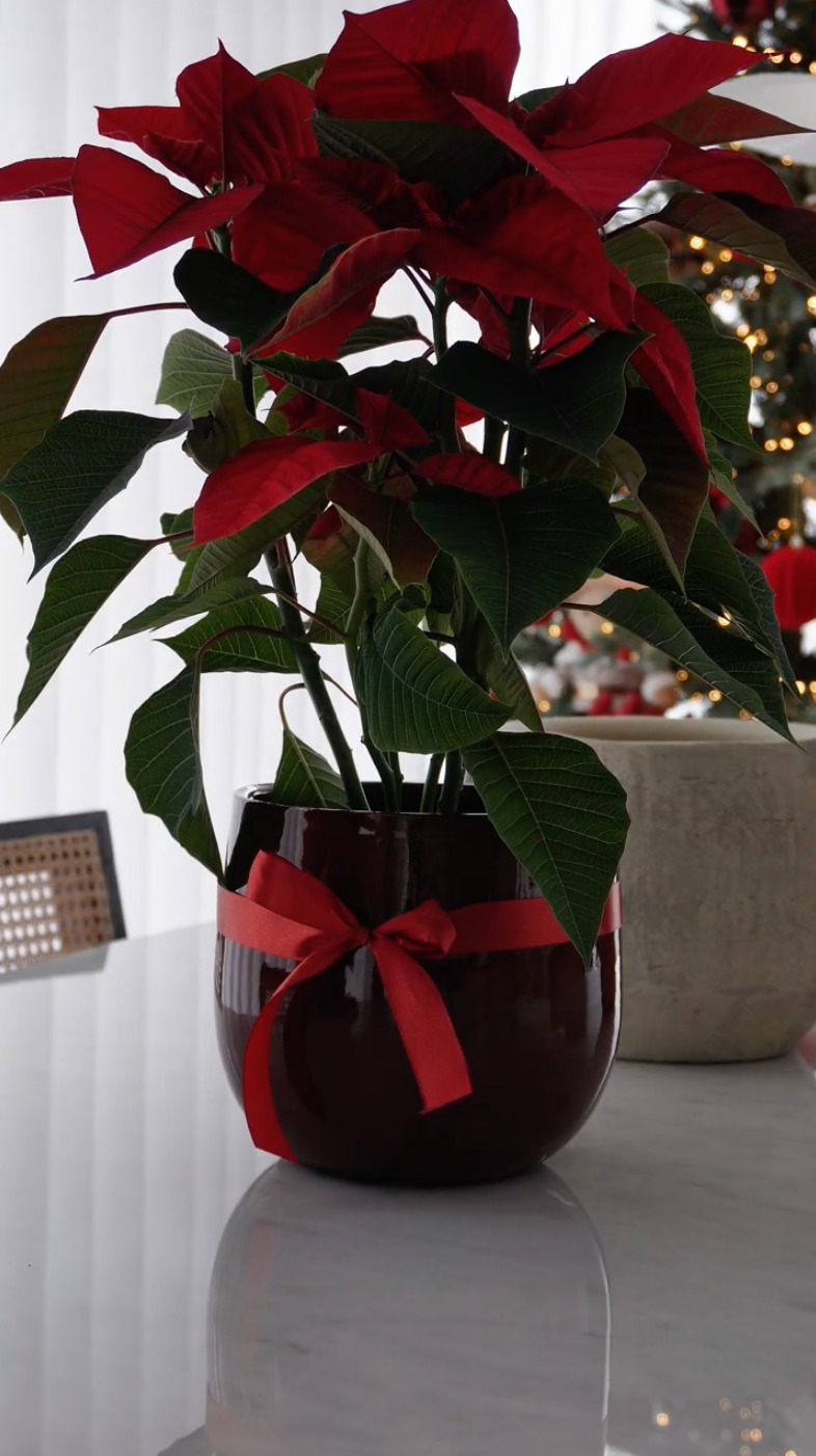 Christmas decorations